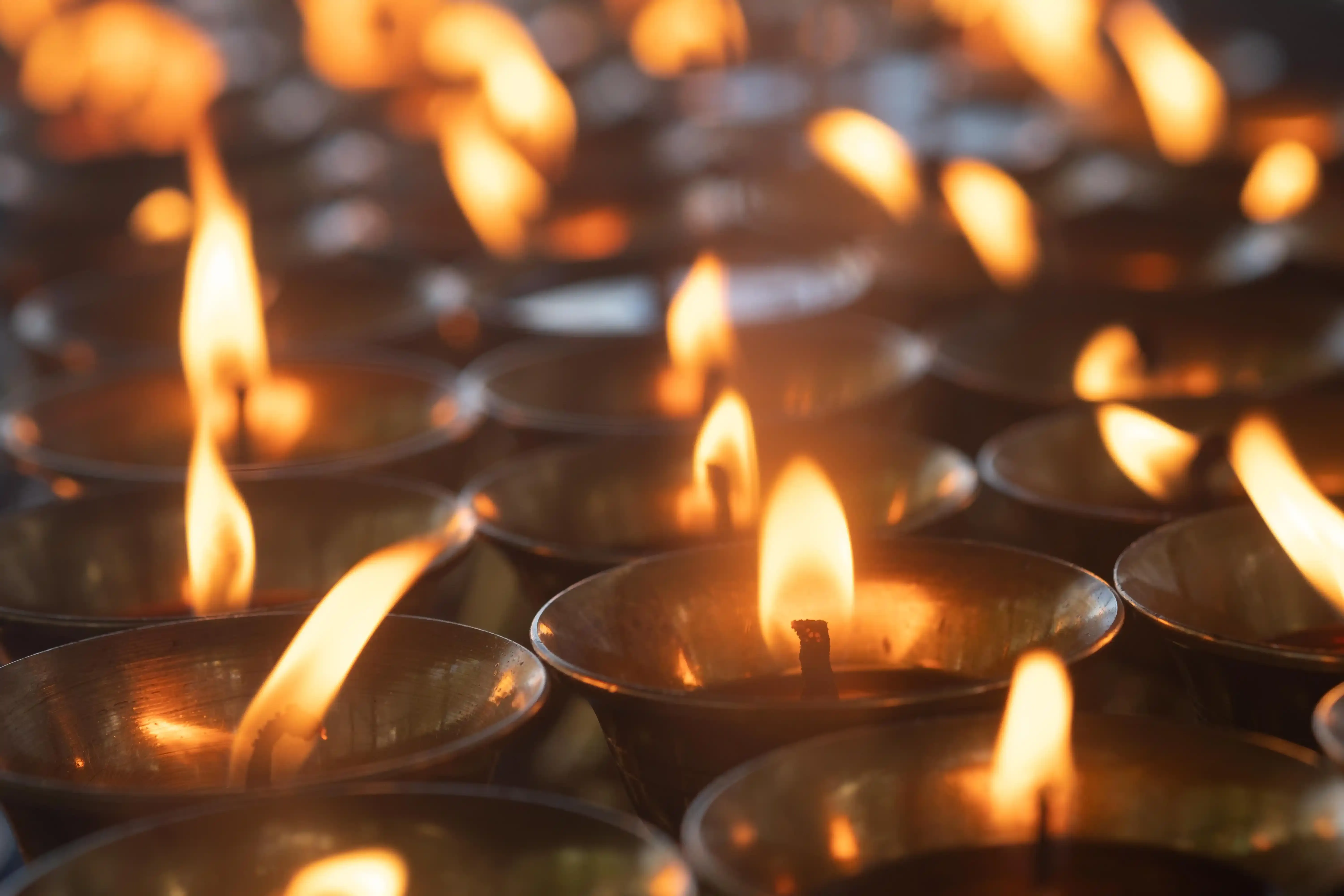 Altar butter lamps illuminated for world peace and monastery support