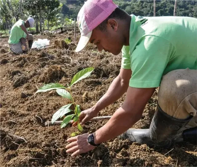 Jonang monks participating in arboriculture and tree planting on the Himalayan ridges